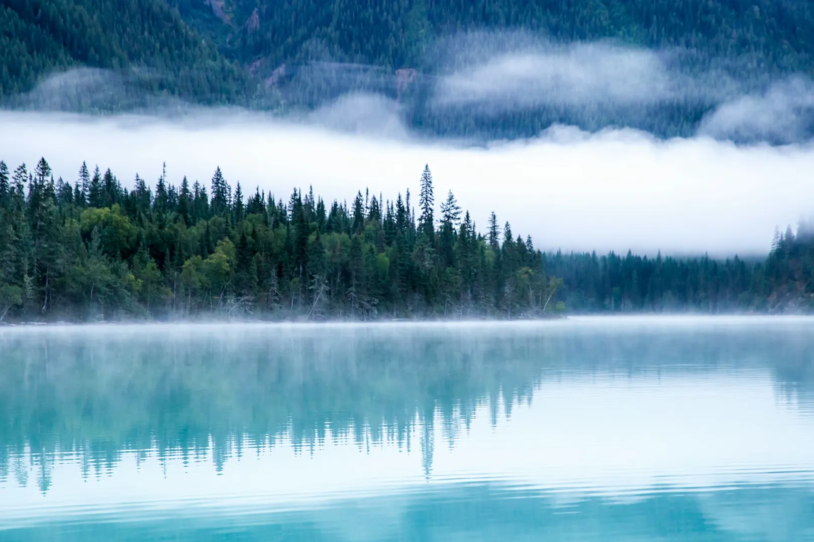 Misty Lake