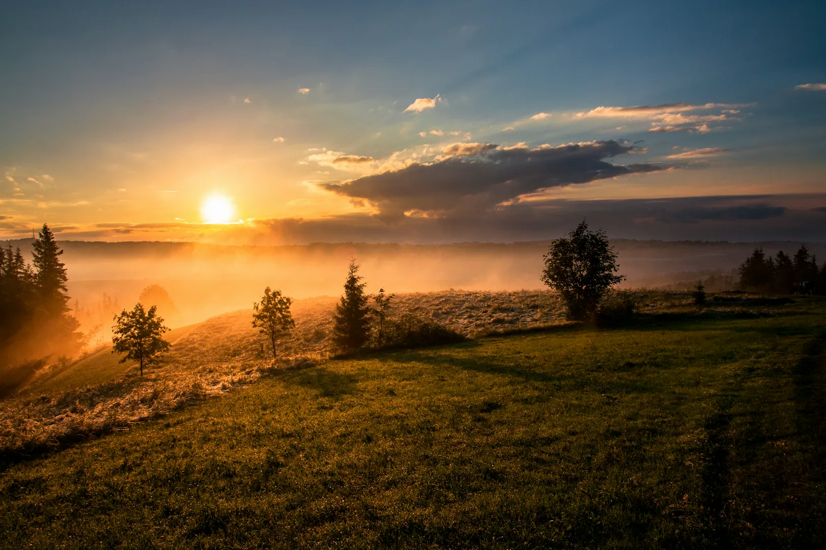 Meadow Sunrise