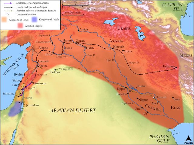 Hoshea and the Fall of Samaria