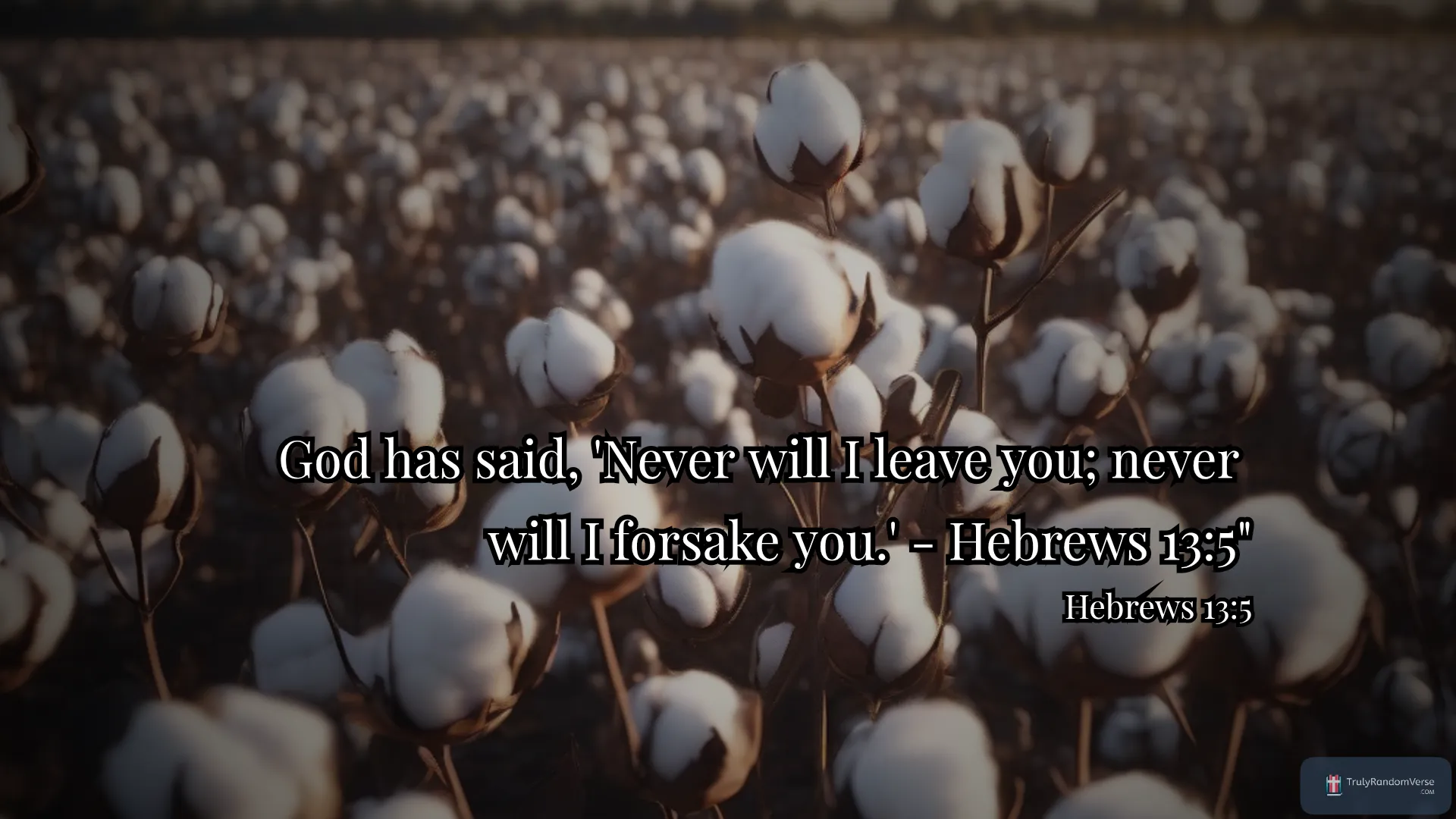 Image for Hebrews 13:5 by Aaron