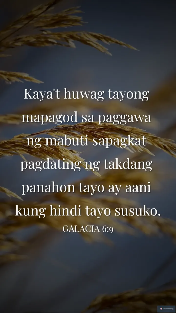 Galacia 6:9