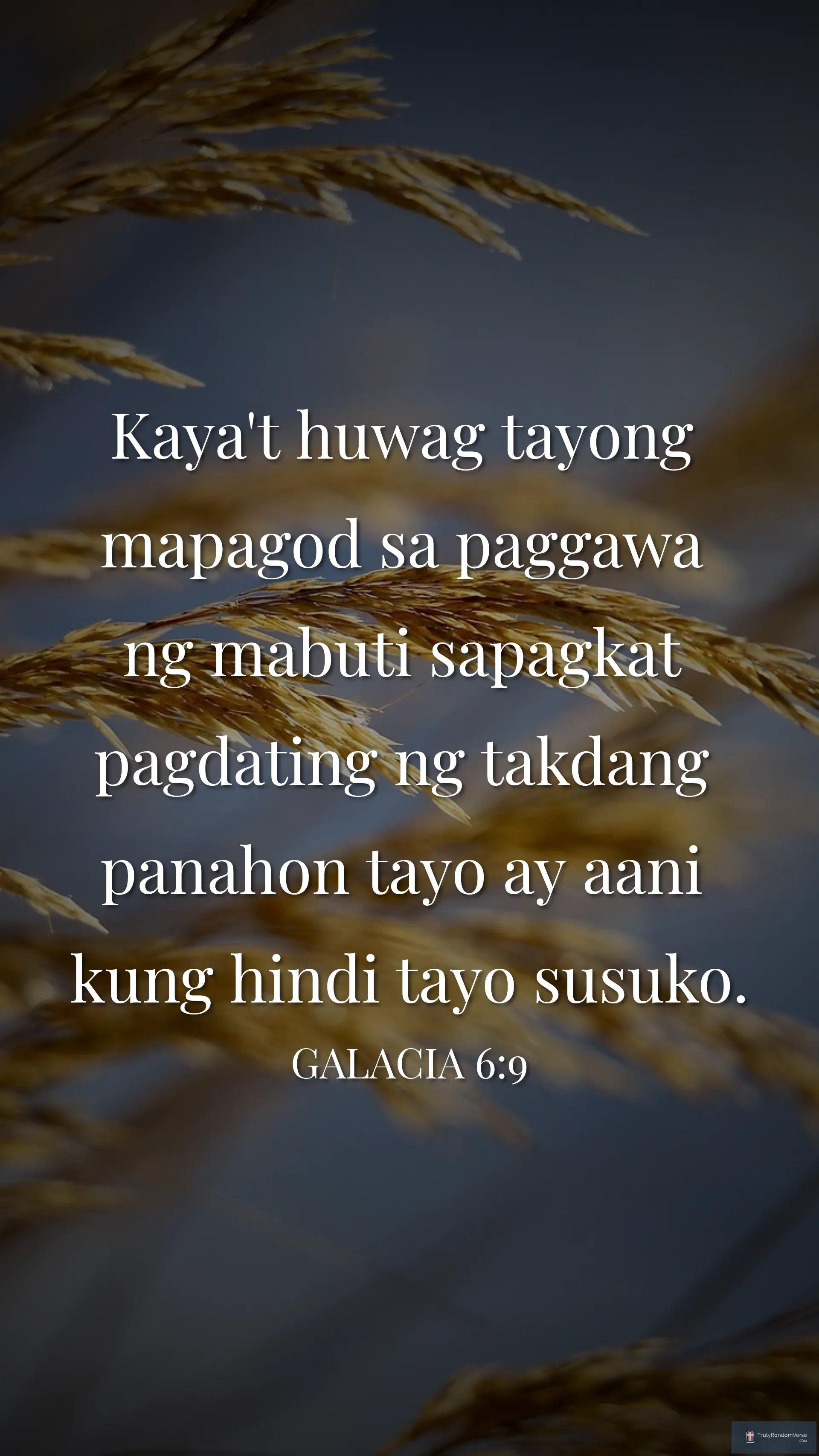 Image for Galacia 6:9