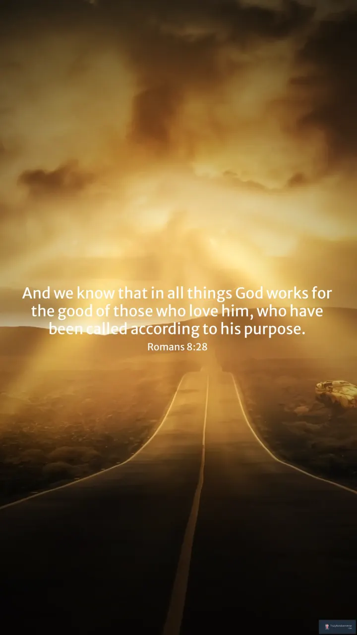 Romans 8:28