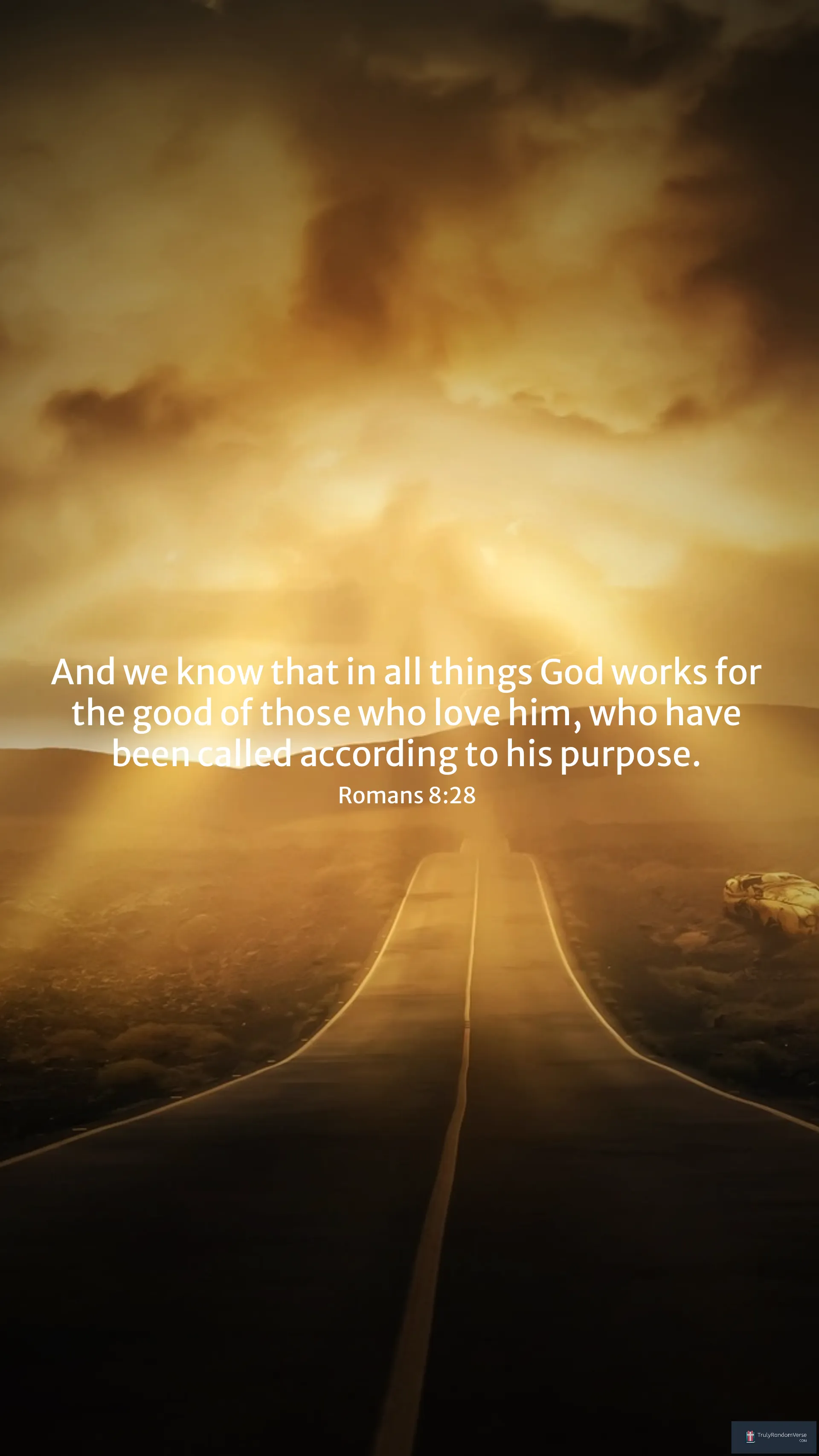 Image for Romans 8:28