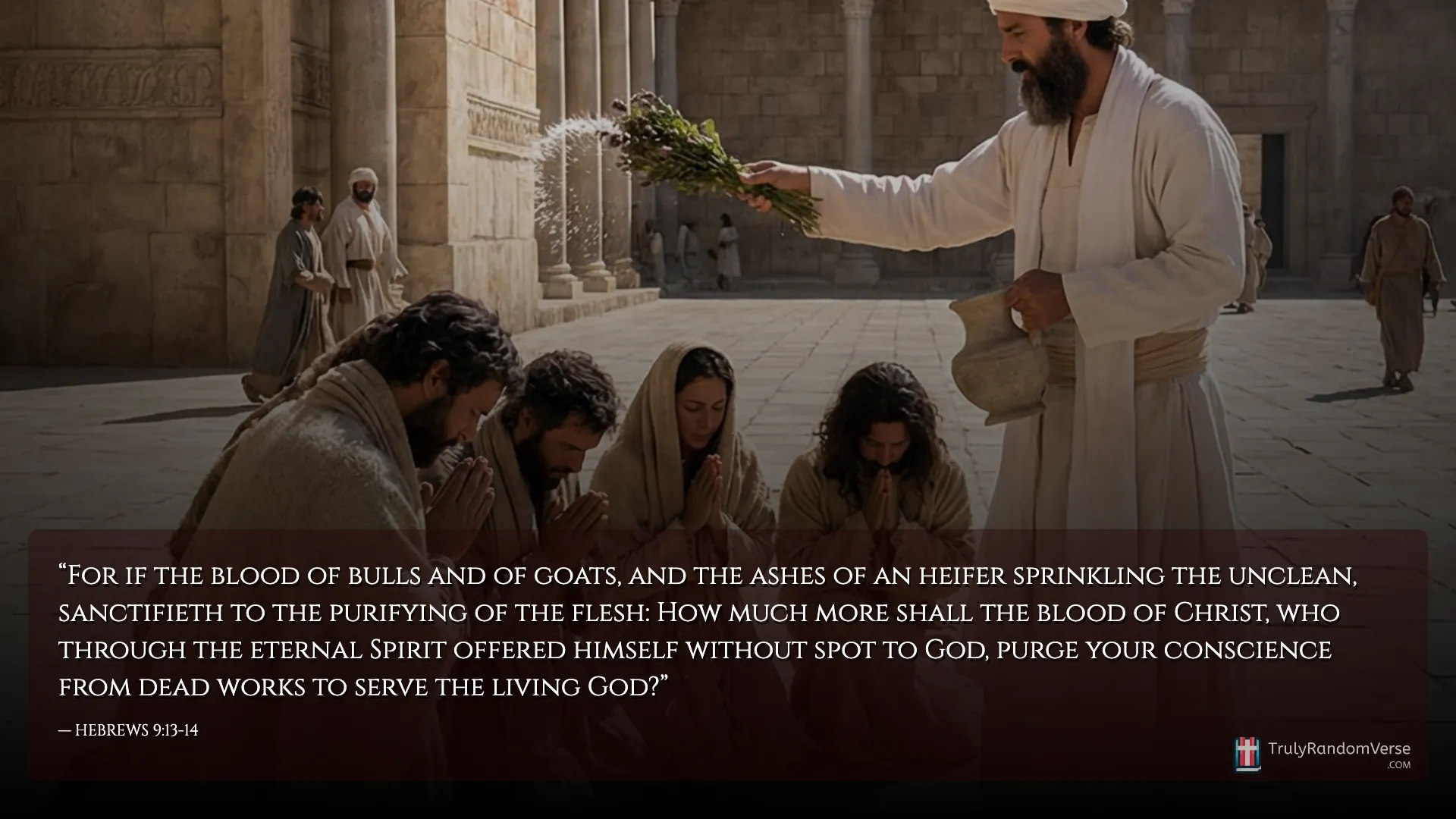 HEBREWS 9:13-14