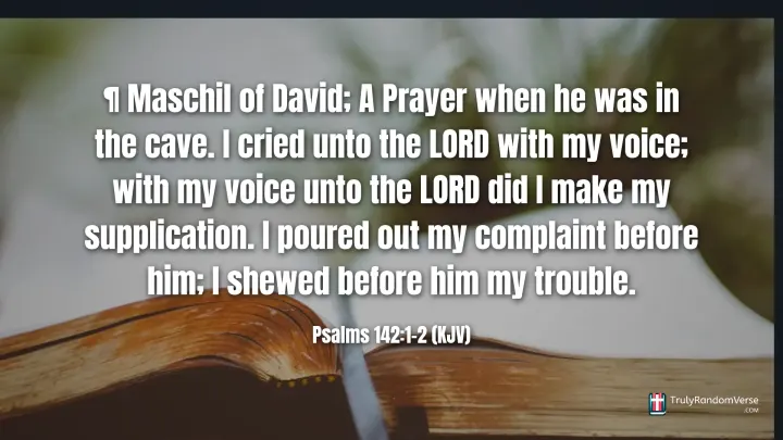 Psalms 142:1-2 (KJV)