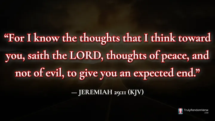 Jeremiah 29:11 (KJV)