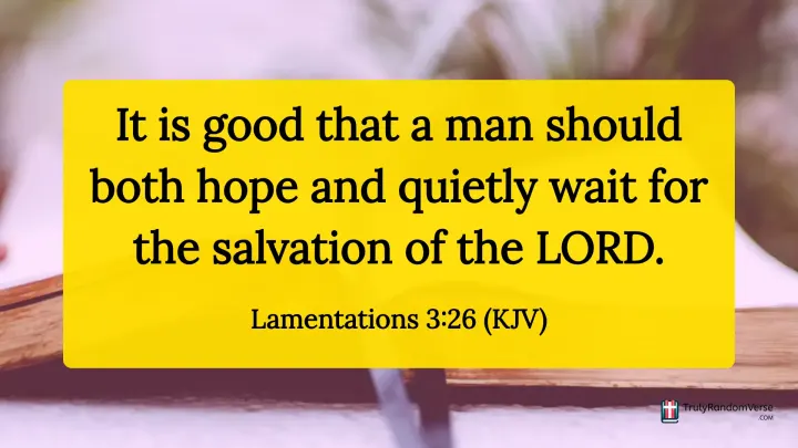 Lamentations 3:26 (KJV)
