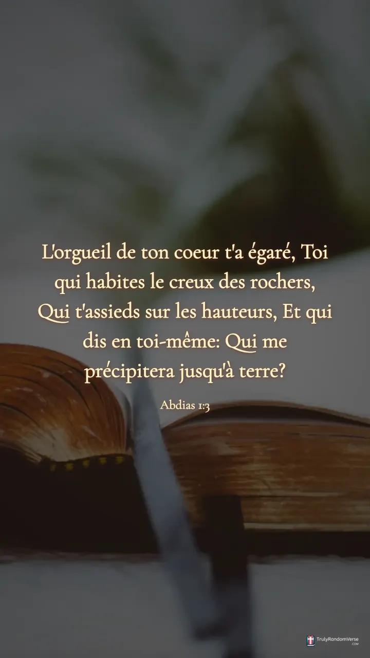 Abdias 1:3